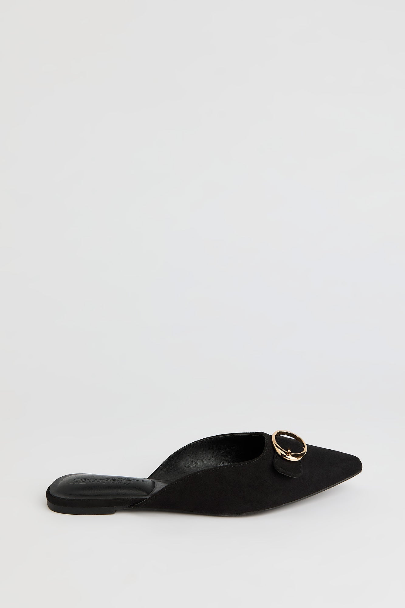 Pointed Toe Buckled Shoe