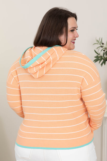Contrast Hem Striped Hoodie Knit Sweaters