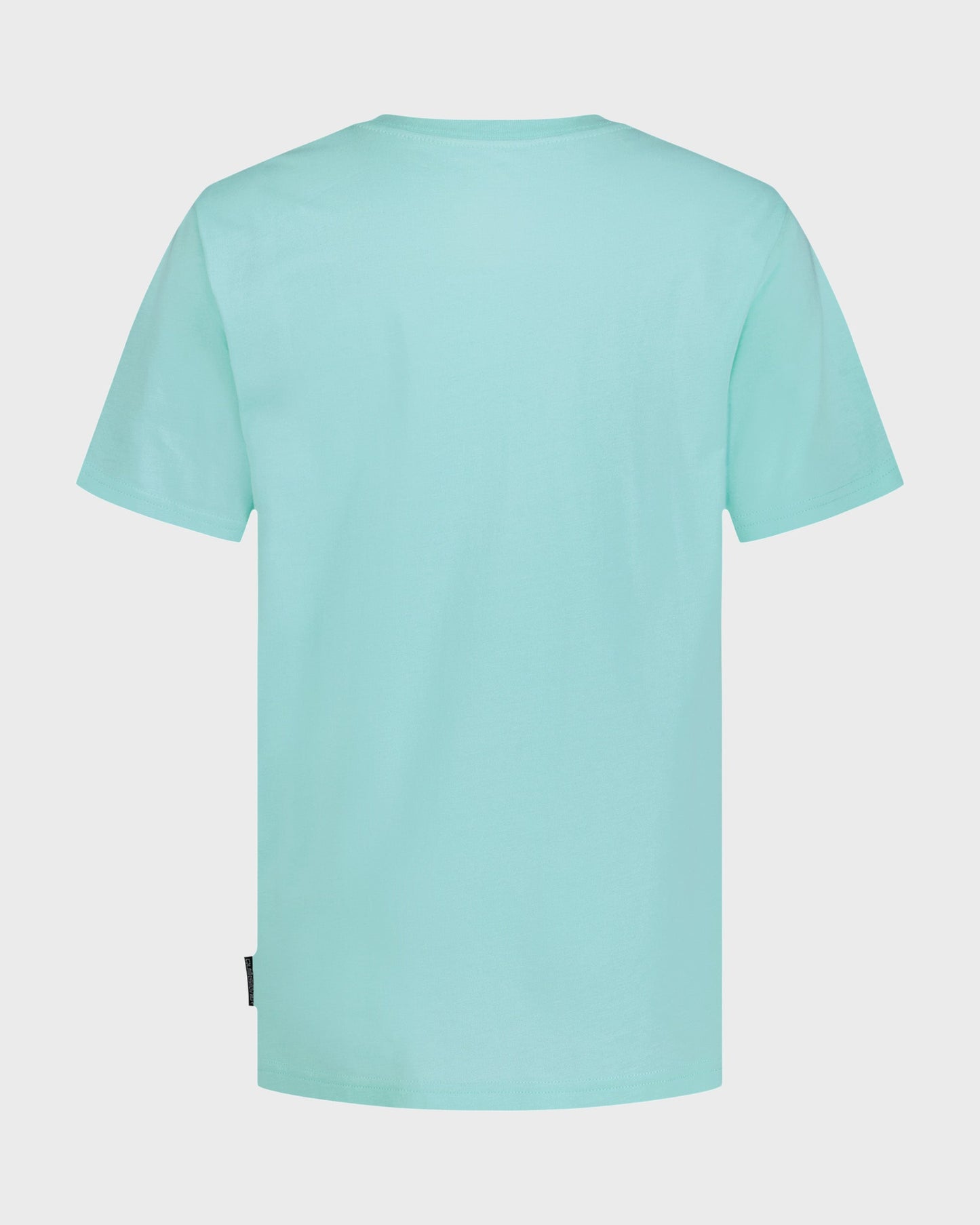 Boys Pizza And Pineapple Short Sleeve T-Shirt