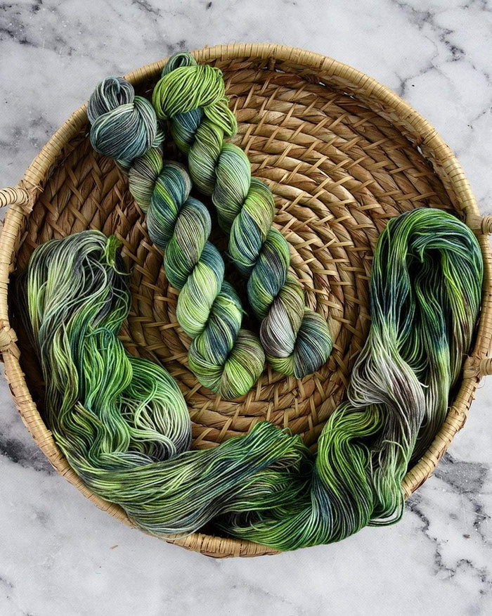 Destination Yarn fingering weight yarn Bamboo Grove Set