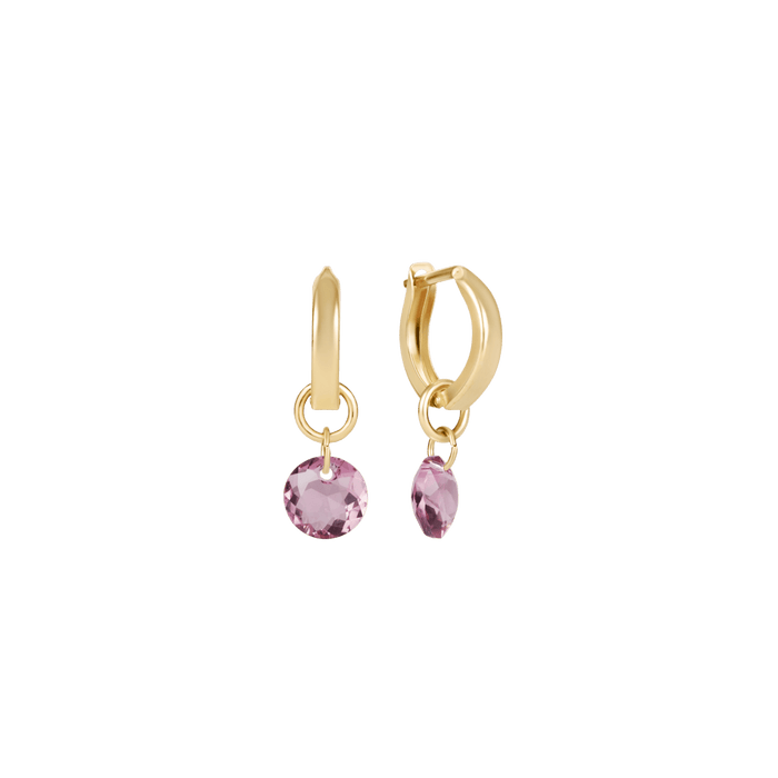 Enewton Reflections Purple Crystal Birthstone Huggie Earrings – 14kt Gold Filled Enewton Reflections Purple Crystal Birthstone Huggie Earrings – 14kt Gold Filled Earrings