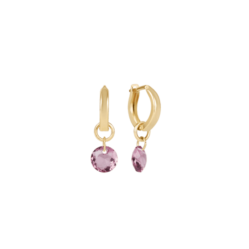 Enewton Reflections Purple Crystal Birthstone Huggie Earrings – 14kt Gold Filled Enewton Reflections Purple Crystal Birthstone Huggie Earrings – 14kt Gold Filled Earrings