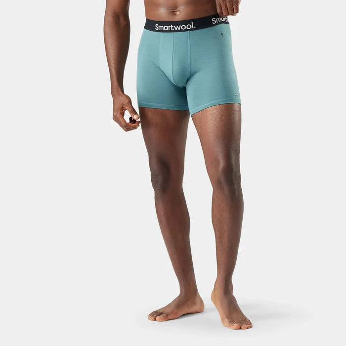 Men's Everyday Merino Boxer Brief Boxed