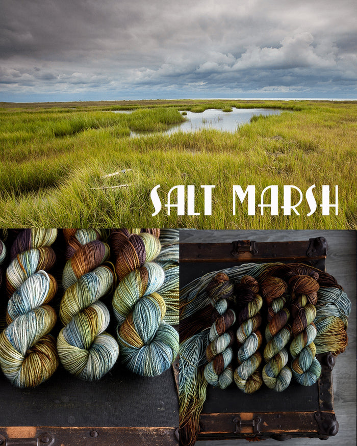 Destination Yarn Preorder Mid-Atlantic Collection - Full Skein Set
