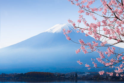 Destination Yarn fingering weight yarn Sakura at Lake Kawaguchiko
