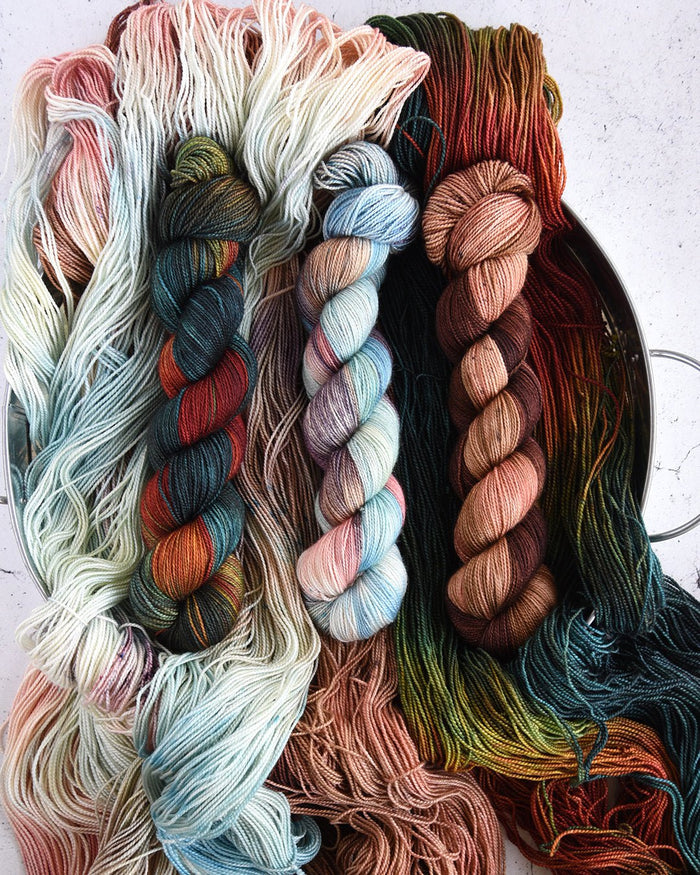 Destination Yarn Preorder Speckled Hen
