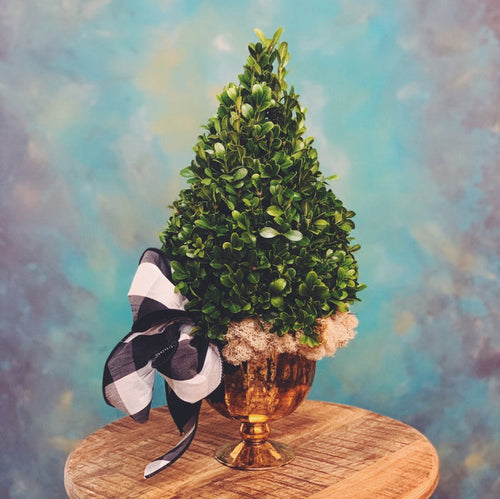 Boxwood tree centerpiece
