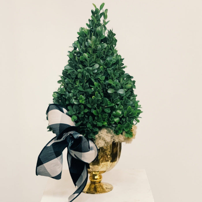 Boxwood tree centerpiece with white background